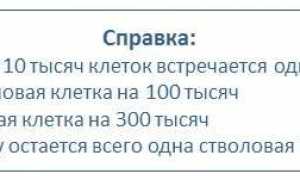 Стволовые клетки растений в косметике