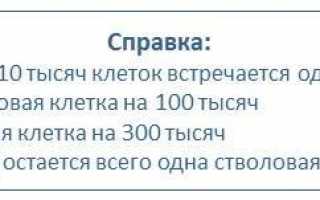 Стволовые клетки растений в косметике